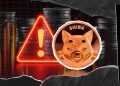 Crucial Security Alert Issued to Shiba Inu (SHIB) Community