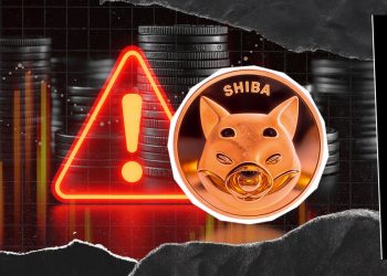 Crucial Security Alert Issued to Shiba Inu (SHIB) Community