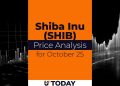 SHIB Price Analysis for October 25