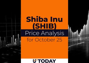 SHIB Price Analysis for October 25