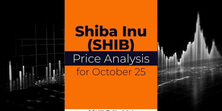 SHIB Price Analysis for October 25