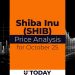 SHIB Price Analysis for October 25