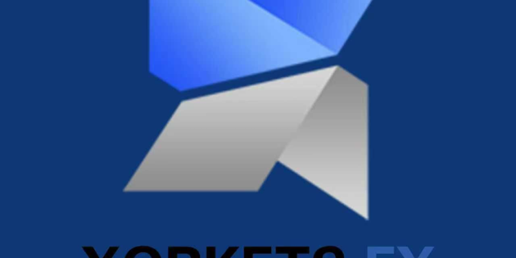 Warmth Across the Border: XORKETSFX Aids Venezuelan Refugees Entering Colombia