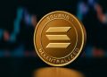 Solana holds near $220 amid 50% drop in daily transactions, ETF hopes fuel bullish sentiment