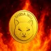 Shiba Inu Hides A 2,000% End-Cycle Breakout, Analyst Predicts