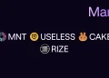 New assets and pairs available for margin trading: MNT, USELESS, CAKE and RIZE!