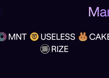 New assets and pairs available for margin trading: MNT, USELESS, CAKE and RIZE!