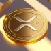 First Ledger Claims XRP is ‘Building the White House’ with Ripple