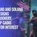 Cardano and Solana Show Signs of Recovery, Digitap Gains Investor Interest