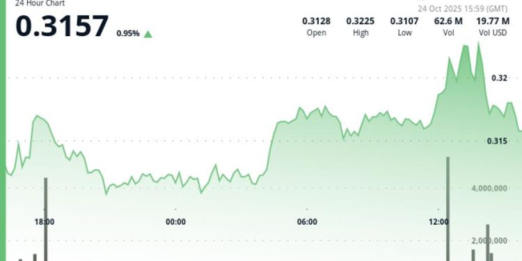 Consolidation After Breakout as Volume Surge Hints at Institutional Activity