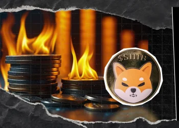 Shiba Inu Burn Rate Crashes Further 62% to New Lows, Now What?