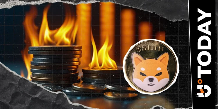 Shiba Inu Burn Rate Crashes Further 62% to New Lows, Now What?