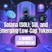 Solana (SOL), SUI, and Low-Cap Tokens: A Market Comparison
