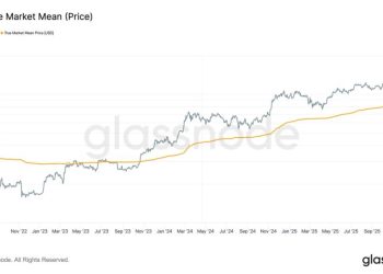These Three Metrics Show BTC Found Strong Support Near $80,000