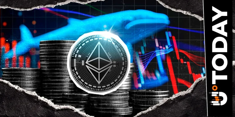 Is Ethereum to $5,000 Imminent? Enormous Whale Buying Spree Originates