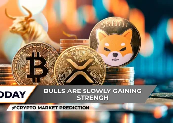 Crypto Market Prediction: No Bitcoin, $100,000 Next Time, Is Shiba Inu (SHIB) Wearing Bull Horns Again? XRP Becoming Dominant