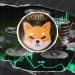Shiba Inu (SHIB) Eyes $0.0000065 Target Ahead of Friday the 13th CPI Report