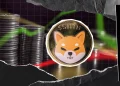 Shiba Inu (SHIB) Outlook: Indicators Signal Potential Choppy Phase