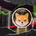 Shiba Inu (SHIB) Outlook: Indicators Signal Potential Choppy Phase