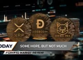 Crypto Market Review: XRP Consolidates Amid Low Volatility, DOGE Struggles at $0.10, Is Shiba Inu (SHIB) Testing Key Support?