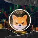 Shiba Inu (SHIB) Recovers 30% But Faces ‘Black Friday’ Resistance