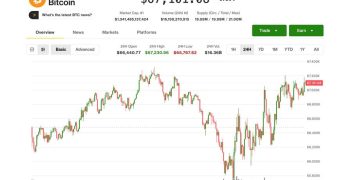 BTC steadies at $67,000 as traders pay for crash protection