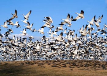 The Protocol: Zora moves to Solana