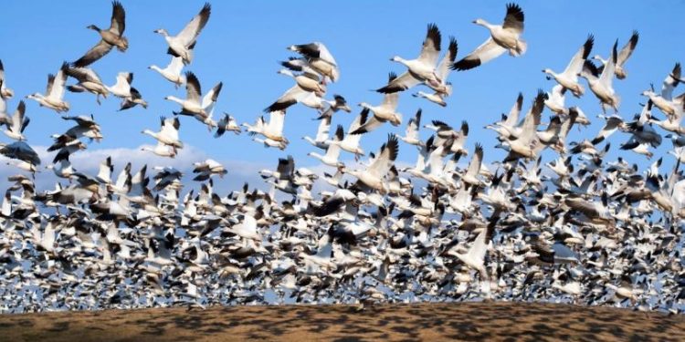 The Protocol: Zora moves to Solana