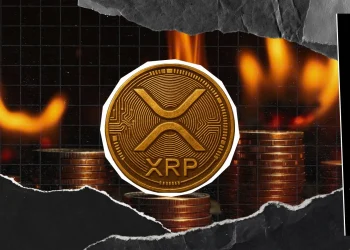 XRP Burn Rate Declines 2% Despite Price Resurgence