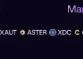 New assets and pairs available for margin trading: XAUT, ASTER, XDC, CC!