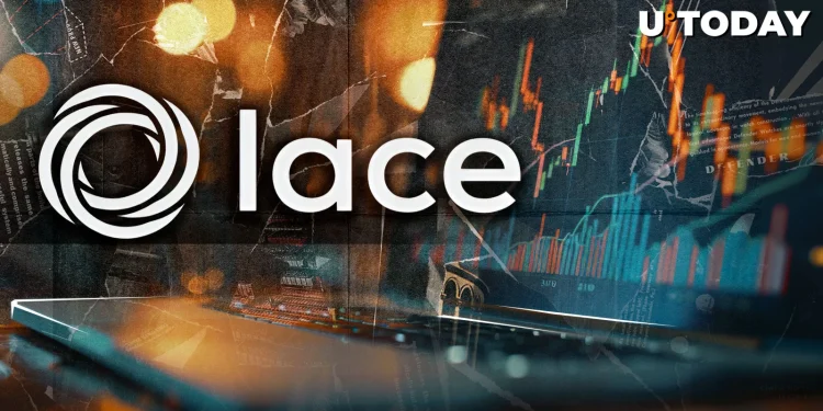 Cardano Wallet Issues Scam Alert