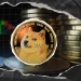 ‘Doge Not Concerned With the Bear’: Dogecoin Team Reacts to Market Lull