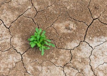 DeFi’s shakeout is a stress test, not a death sentence