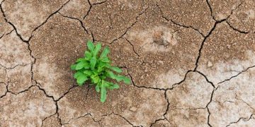 DeFi’s shakeout is a stress test, not a death sentence