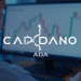 Cardano price forecast: ADA eyes $0.30 as bulls tap Bitcoin momentum