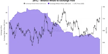 Bitcoin Supply Shock Brewing? Whales Step Back As Long-Term Holders Absorb $49 Billion