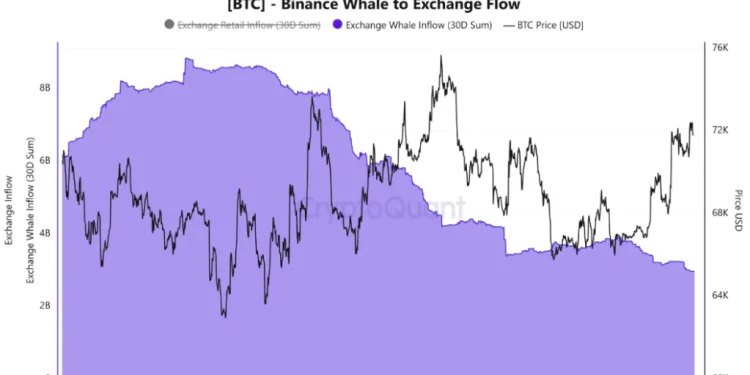 Bitcoin Supply Shock Brewing? Whales Step Back As Long-Term Holders Absorb $49 Billion