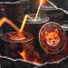 Shiba Inu Surpasses 20,000 Burn Transactions With 41.08% of Supply Burned