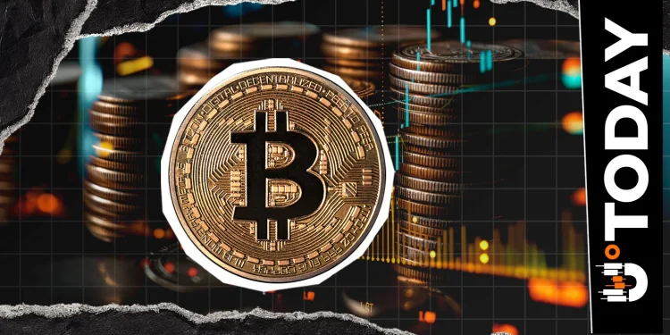 Bitcoin Hits $79,000 as a 4,362% Liquidation Imbalance Confirms a Massive Short Squeeze