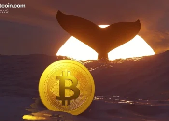 TIm Draper’s $250,000 BTC Call, New Whale Data, and More