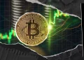 Bitcoin’s LTH Accumulation Hits Six-Year High
