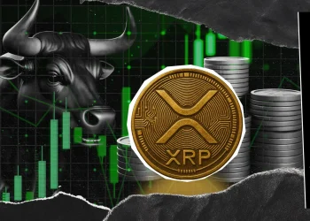 XRP Rally Backed by Whale Accumulation