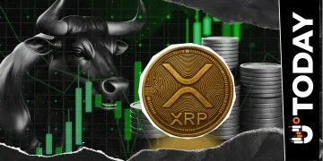 XRP Rally Backed by Whale Accumulation