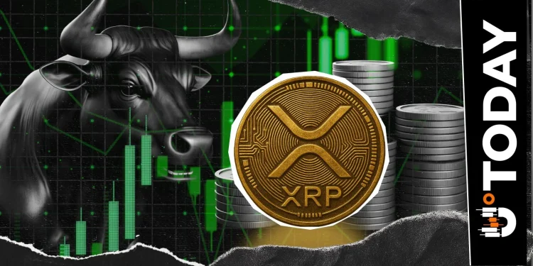 XRP Rally Backed by Whale Accumulation