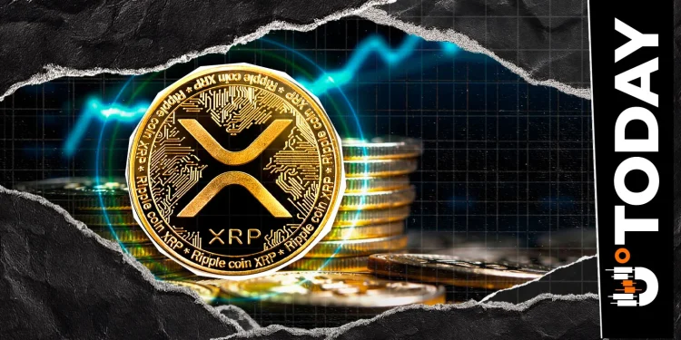 XRP Has ‘No Tangible Adoption,’ Chainlink Community Lead Says