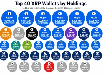 55.84 Billion XRP Appears Across the Top 40 Wallets, but Escrow Changes the Picture