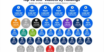 55.84 Billion XRP Appears Across the Top 40 Wallets, but Escrow Changes the Picture