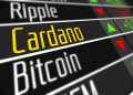 Cardano’s 3.5-Year Record: How Millionaire Wallets Are Absorbing All ADA in Circulation
