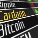Cardano’s 3.5-Year Record: How Millionaire Wallets Are Absorbing All ADA in Circulation