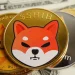 346 Billion SHIB Later: Why Smart Money Is Moving Shiba Inu Coin Off Exchanges